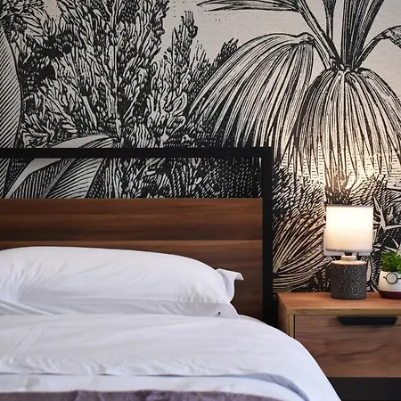 Vibrant טיראנה