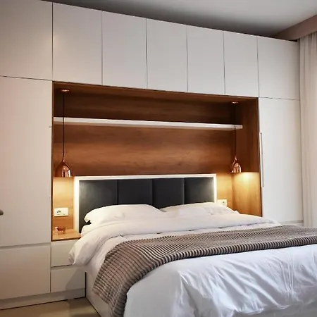 Vibrant تيرانا