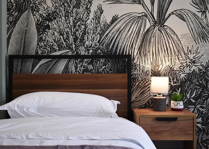 Vibrant טיראנה